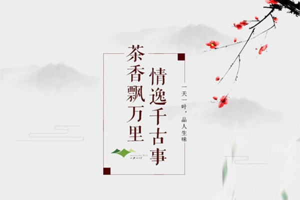 一天一叶加盟