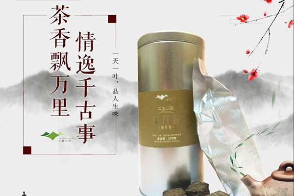 一天一叶加盟