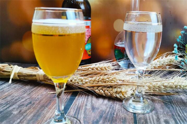 种子家白酒加盟