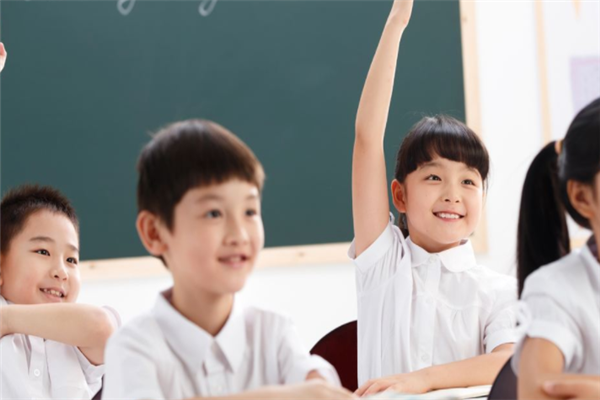 优化学能注意力训练
