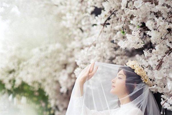 永欣婚纱艺术摄影加盟