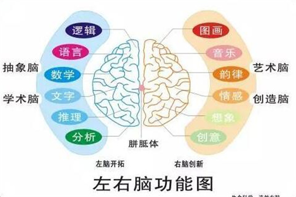 好立德全脑开发加盟