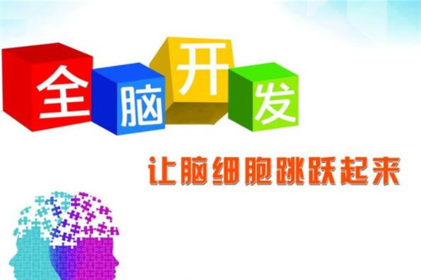 好立德全脑开发加盟