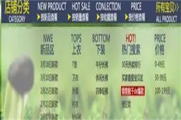 拍拍网店