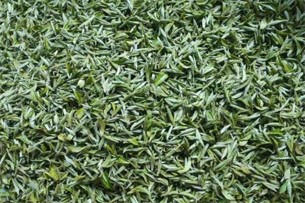 铁香茶叶加盟