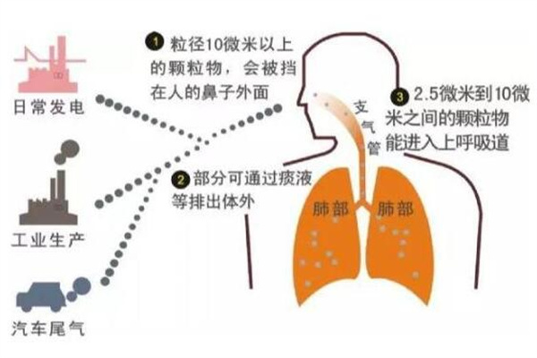 布雷森新风加盟