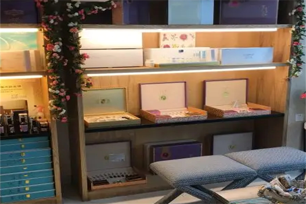 丽臻美容加盟