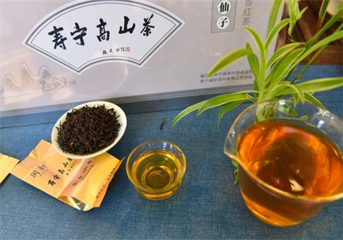 寿宁高山茶