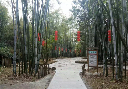 竹影农家乐