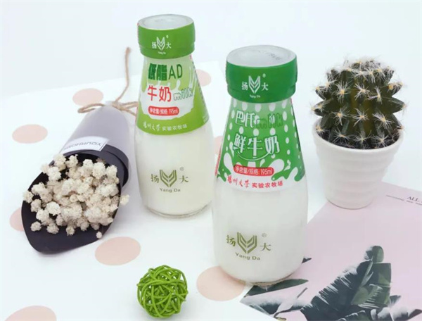扬大牛奶