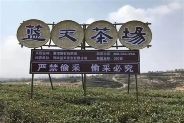 蓝天茗茶