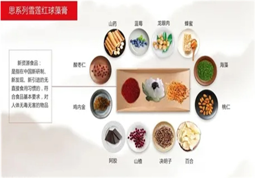 垦诺国际