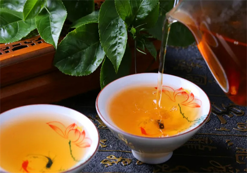 林恩茶业
