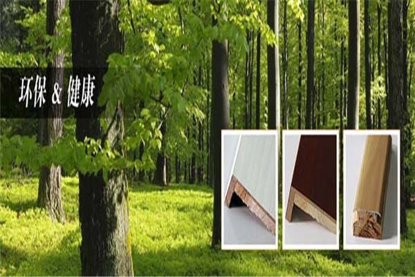 远标工贸建材