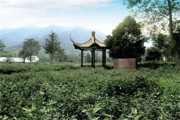 一味茶城