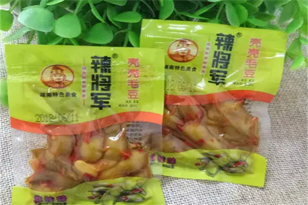 辣将军休闲食品加盟