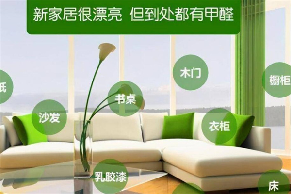鼎丰科技加盟
