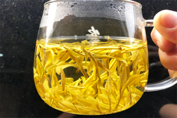 黄金藻茶方