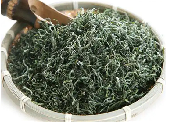 黄金藻茶方