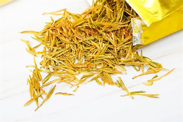 黄金藻茶方