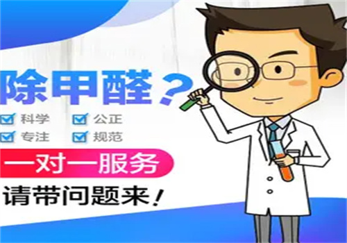 黛龙除甲醛