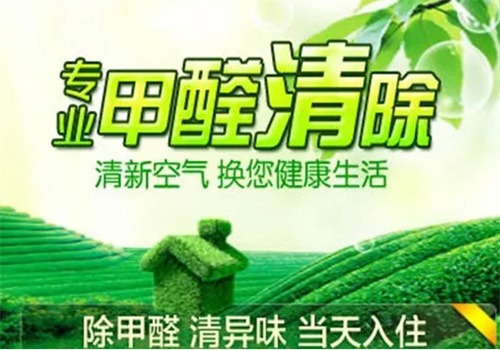 黛龙除甲醛