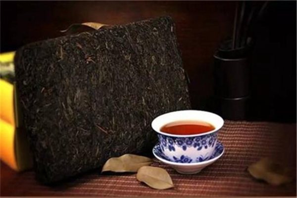 黑树茶业