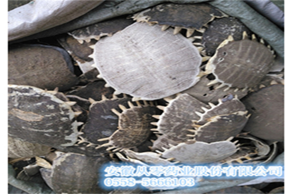 从零药业加盟