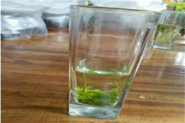 茶者茶业