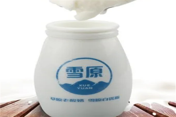 雪源酸奶加盟