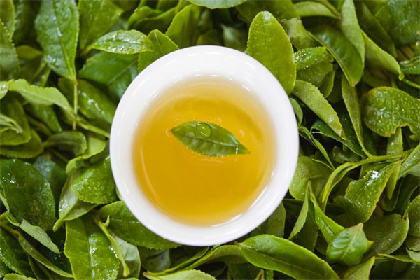 三恩茶业