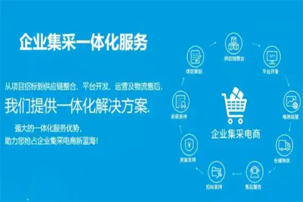 子兮供应链