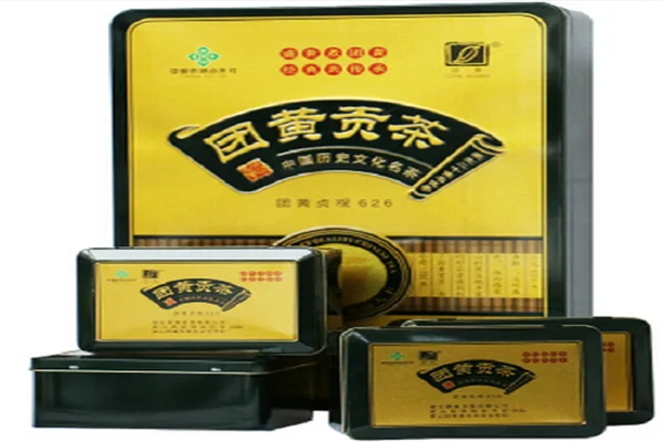 团黄贡茶加盟