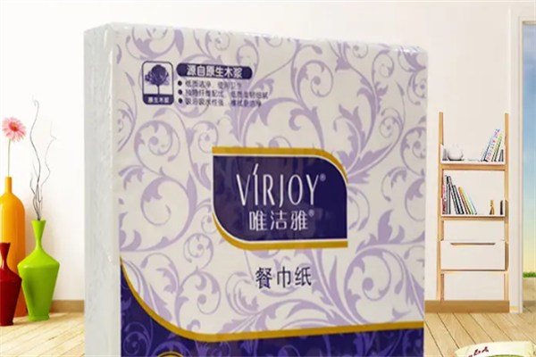 洁雅纸业