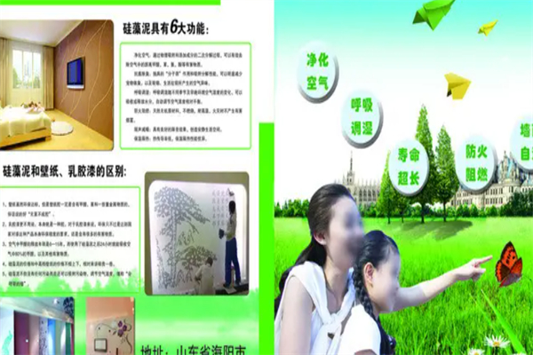 绿源硅藻泥