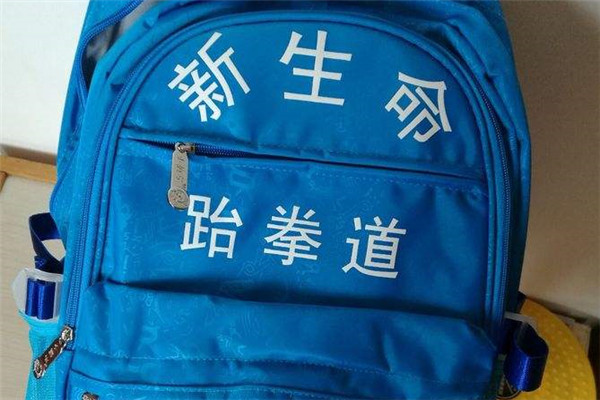 新生命跆拳道加盟