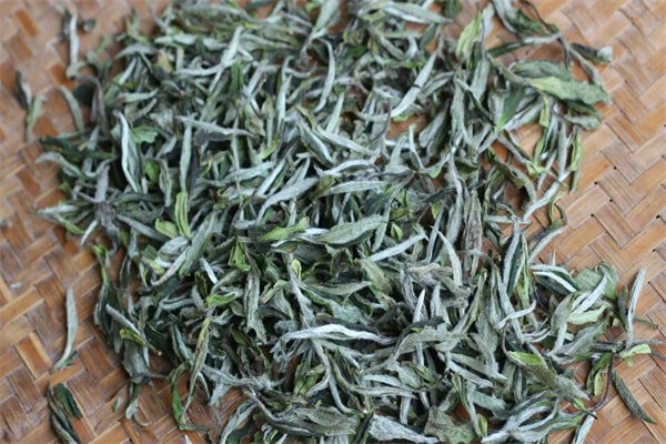 太姥绿叶茶叶加盟