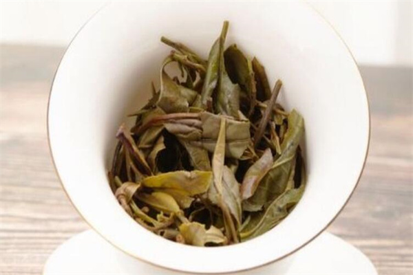 太姥绿叶茶叶加盟