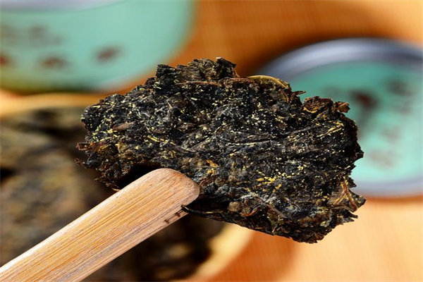 融芝湶茯茶