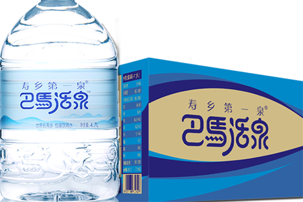 巴马寿珍泉矿泉水