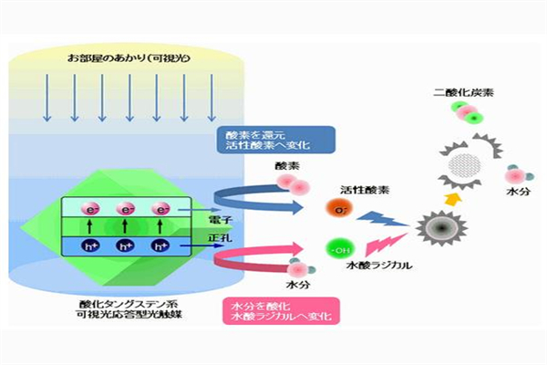 新净界除甲醛加盟