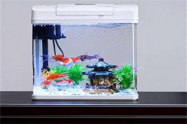 轩海金鱼缸