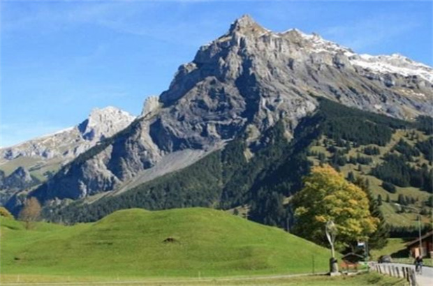 泰格旅游