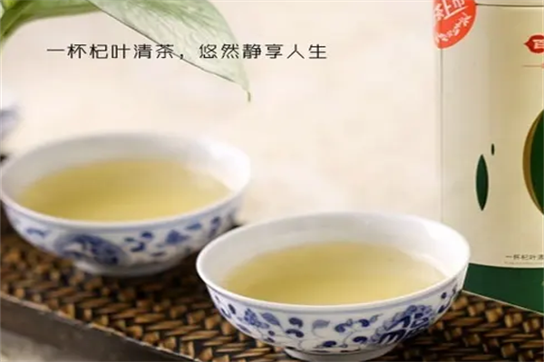 枸杞叶茶加盟
