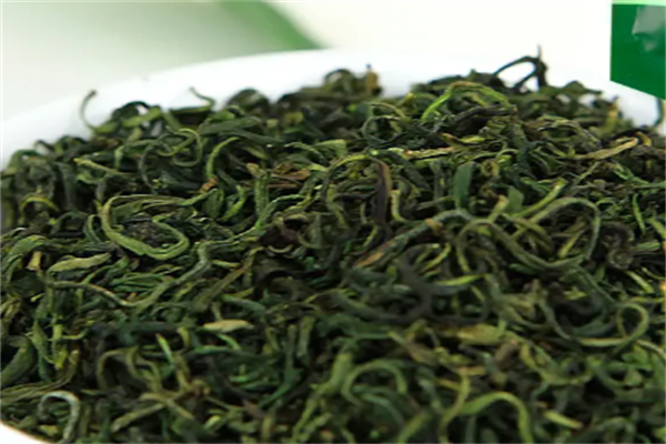 枸杞叶茶加盟