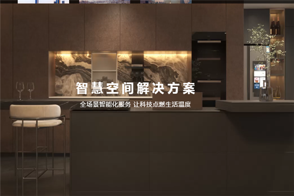 爱美家智能家居