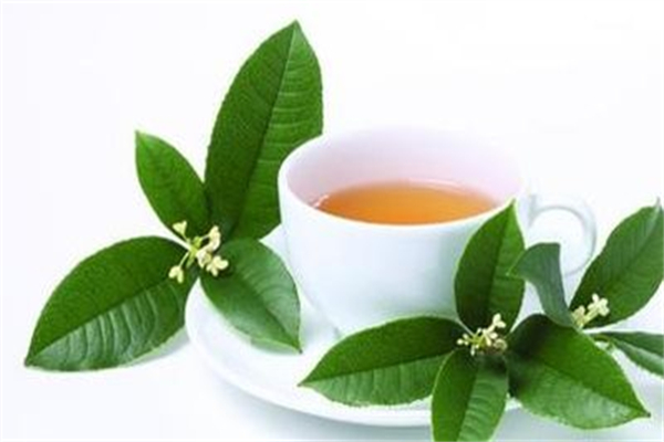 碧水源茶楼加盟