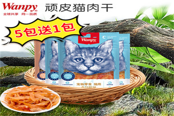 顽皮猫零食加盟