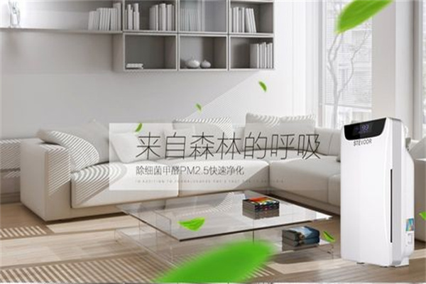 核桃净然空气净化器