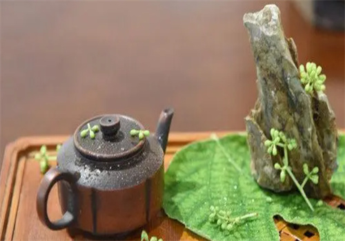 莳贤茶生活美学